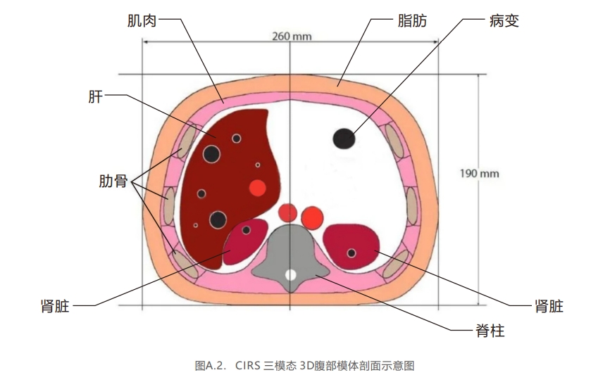 三模態(tài)3D腹部模體2 三模態(tài)3D腹部模體2